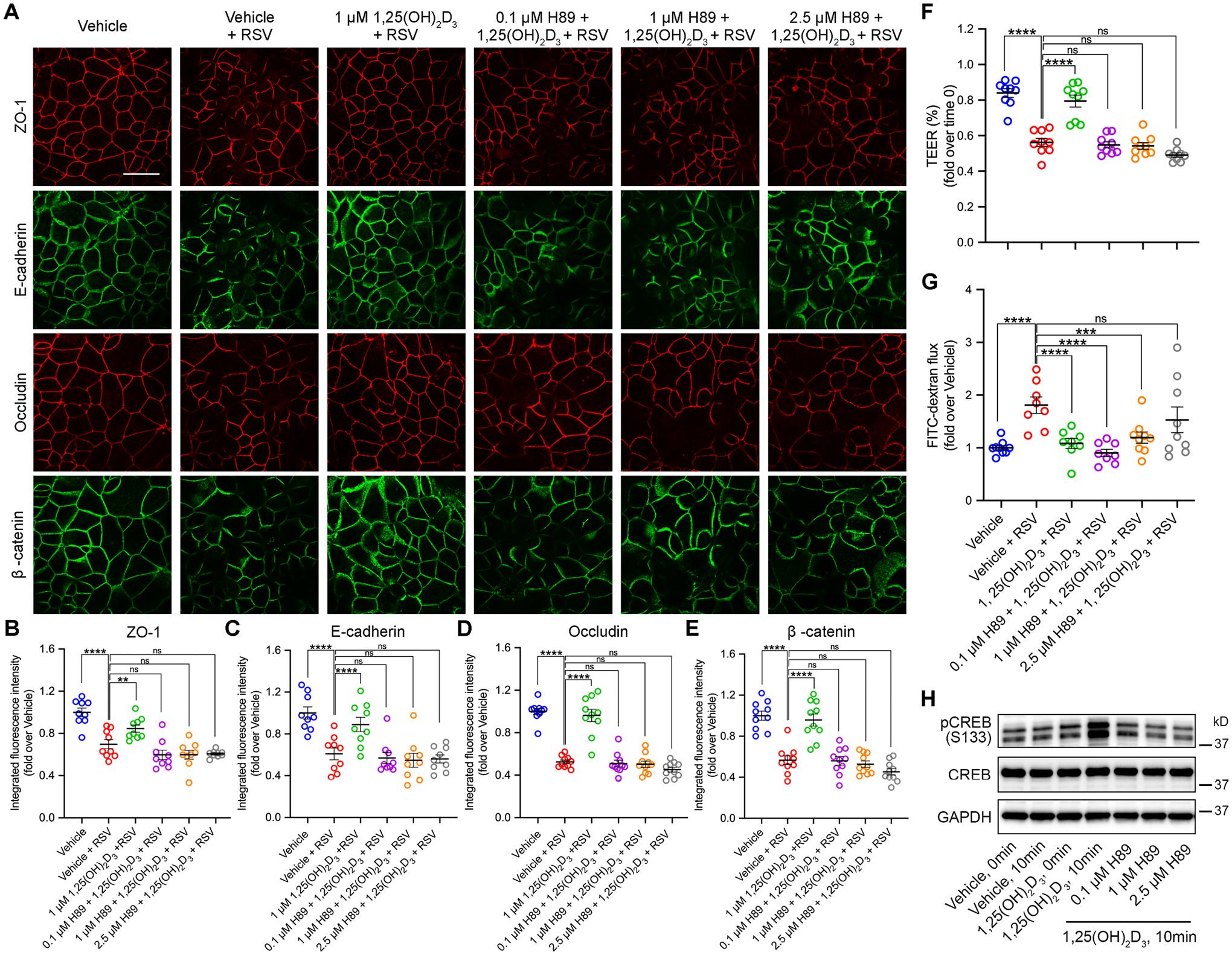 https://cdn.ncbi.nlm.nih.gov/pmc/blobs/0f67/10773979/413ea007cb21/nihms-1956010-f0006.jpg
