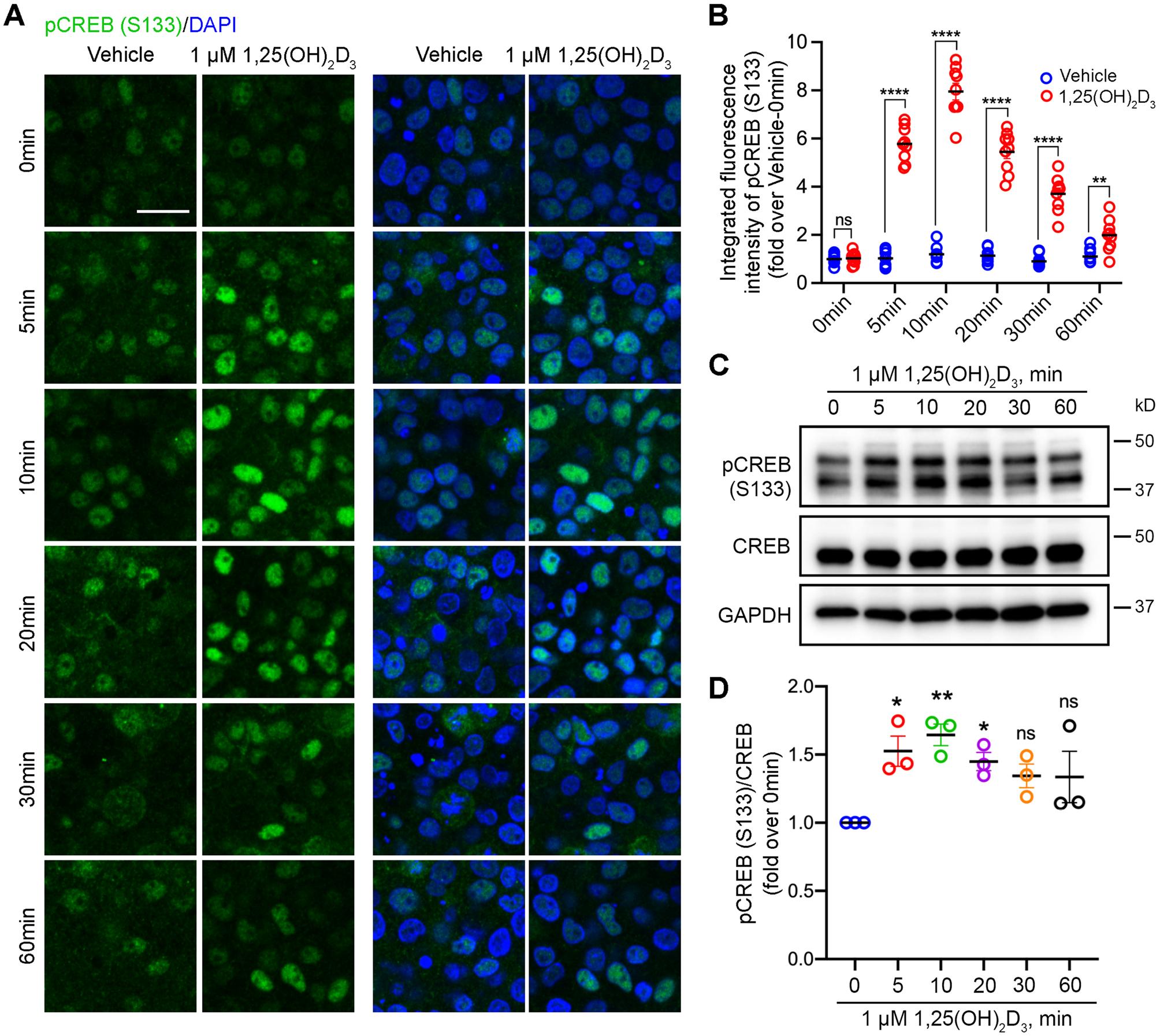 https://cdn.ncbi.nlm.nih.gov/pmc/blobs/0f67/10773979/690f88ca41ad/nihms-1956010-f0005.jpg