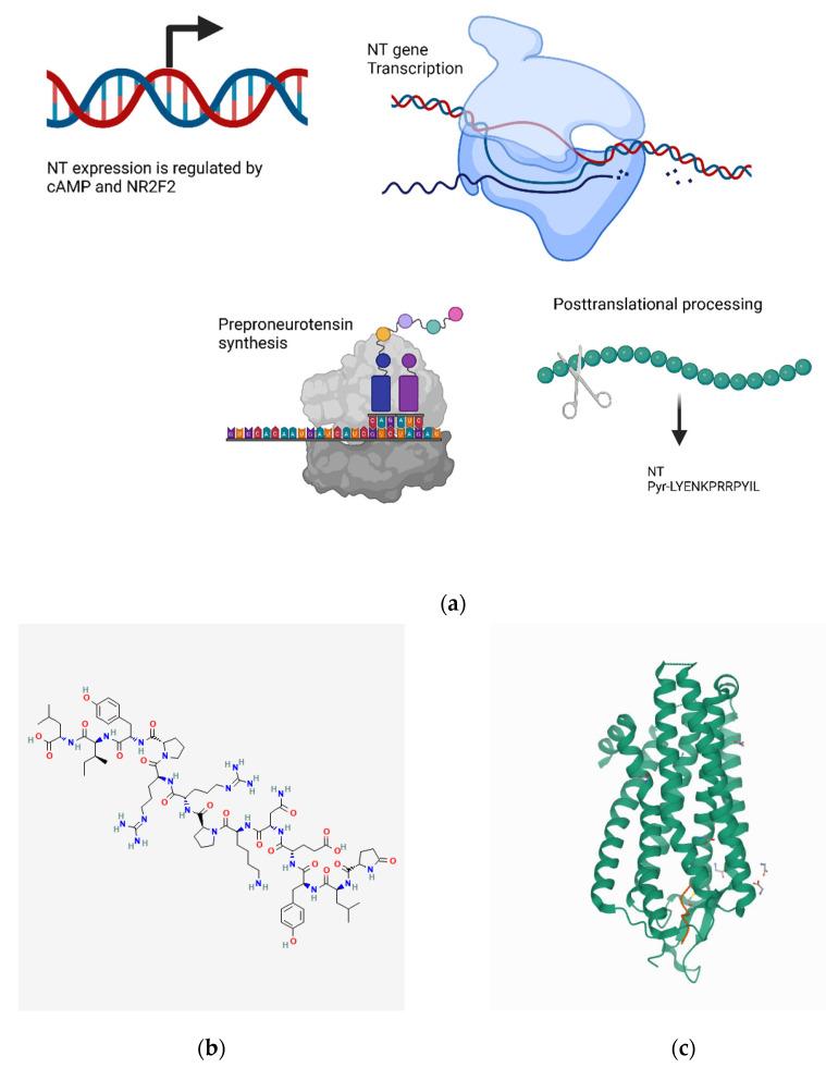 https://cdn.ncbi.nlm.nih.gov/pmc/blobs/0f69/9406019/55a489262446/biomedicines-10-01985-g012.jpg
