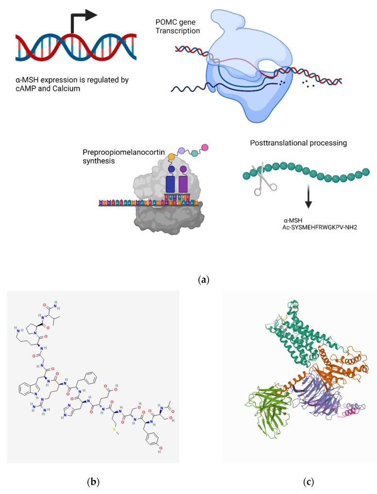 https://cdn.ncbi.nlm.nih.gov/pmc/blobs/0f69/9406019/9a499d5e5409/biomedicines-10-01985-g009.jpg