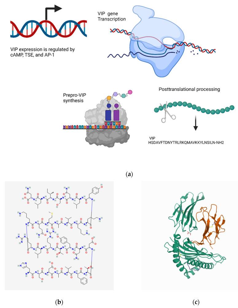https://cdn.ncbi.nlm.nih.gov/pmc/blobs/0f69/9406019/e05a8d38760c/biomedicines-10-01985-g005.jpg