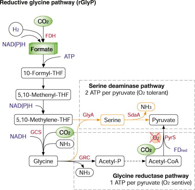 https://cdn.ncbi.nlm.nih.gov/pmc/blobs/0f6a/9035589/368ad5622351/fbioe-10-874612-g006.jpg