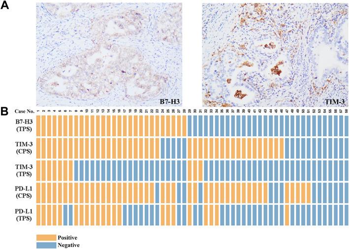 https://cdn.ncbi.nlm.nih.gov/pmc/blobs/0f6b/10766062/22d3e3829f9c/CJP2-10-e345-g003.jpg