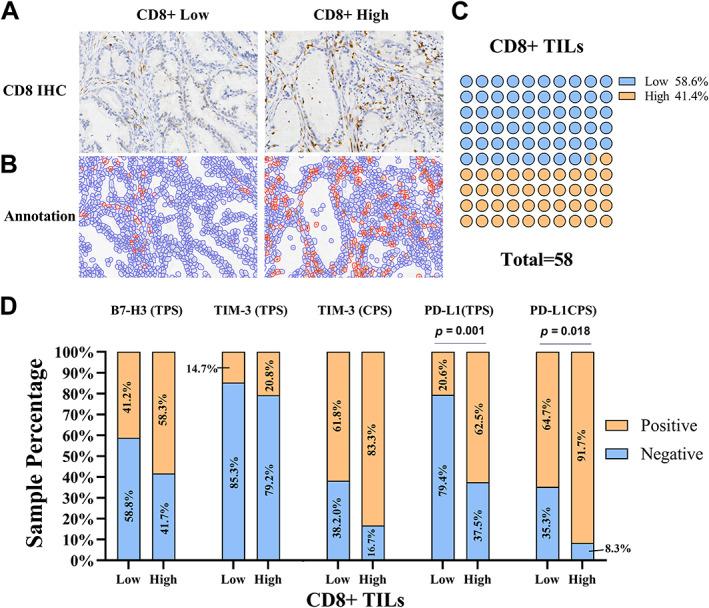 https://cdn.ncbi.nlm.nih.gov/pmc/blobs/0f6b/10766062/4d13bdedf77e/CJP2-10-e345-g001.jpg