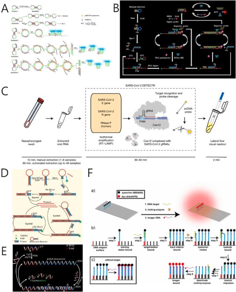 https://cdn.ncbi.nlm.nih.gov/pmc/blobs/0f6d/8553638/b737f1dcb487/gr2_lrg.jpg
