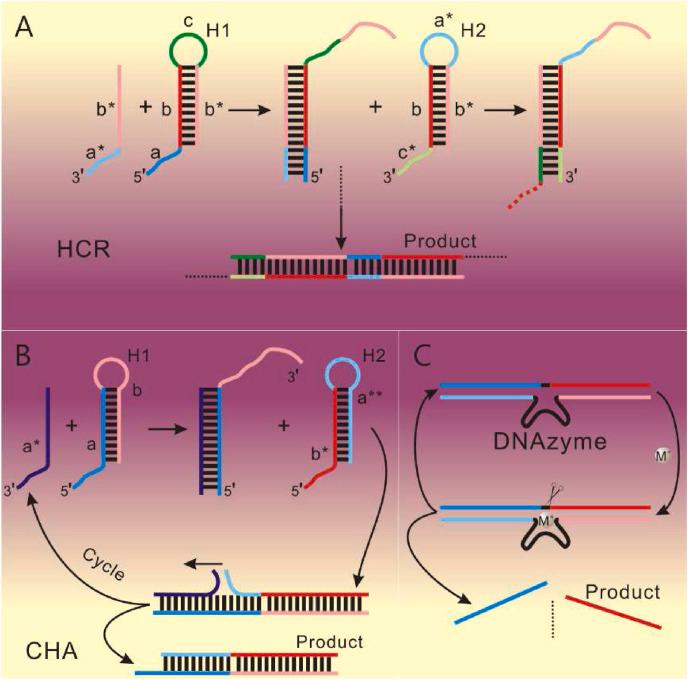 https://cdn.ncbi.nlm.nih.gov/pmc/blobs/0f6d/8553638/ccabf2b62e2b/gr3_lrg.jpg