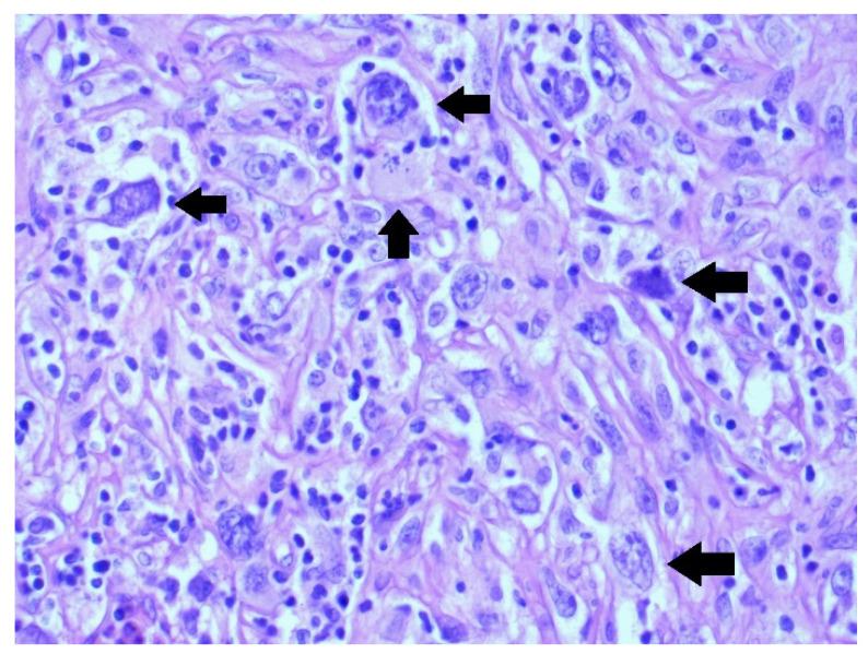 https://cdn.ncbi.nlm.nih.gov/pmc/blobs/0f72/9500801/9aaacf5f7249/medicina-58-01141-g004.jpg