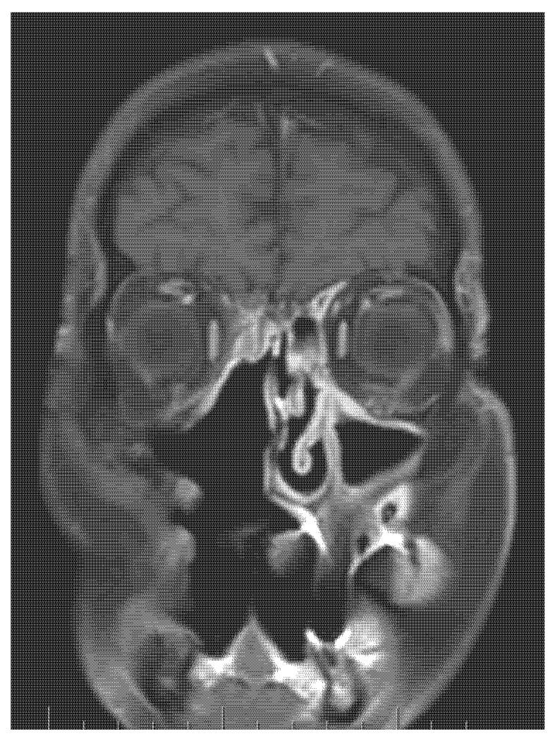 https://cdn.ncbi.nlm.nih.gov/pmc/blobs/0f72/9500801/c6fb889ab338/medicina-58-01141-g007.jpg