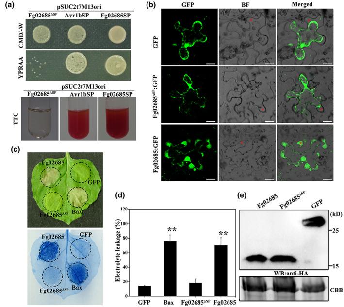 https://cdn.ncbi.nlm.nih.gov/pmc/blobs/0f73/9644276/68572d3a2ec9/MPP-23-1751-g003.jpg