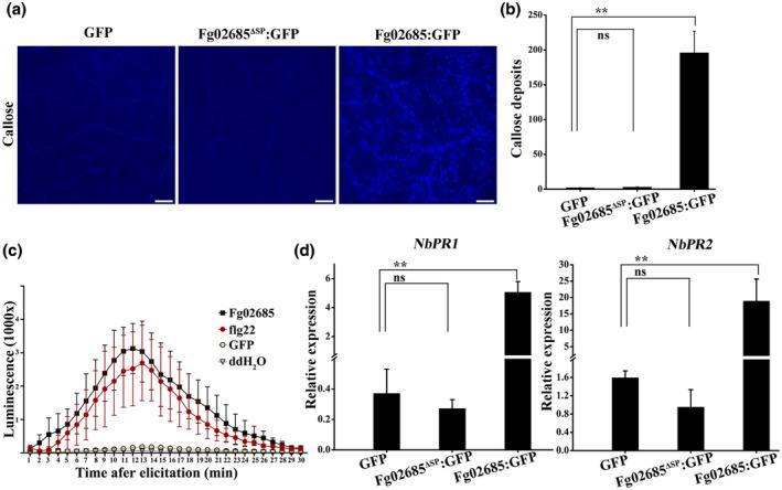https://cdn.ncbi.nlm.nih.gov/pmc/blobs/0f73/9644276/d75301dbc514/MPP-23-1751-g005.jpg