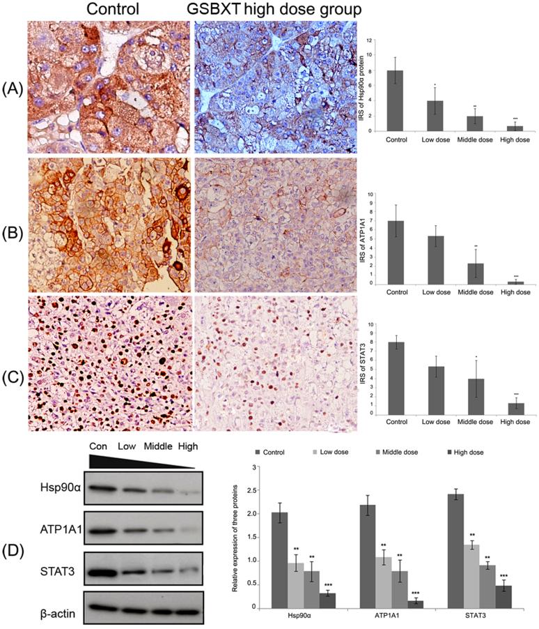 https://cdn.ncbi.nlm.nih.gov/pmc/blobs/0f76/3932480/442d60dd9bb7/srep04154-f5.jpg