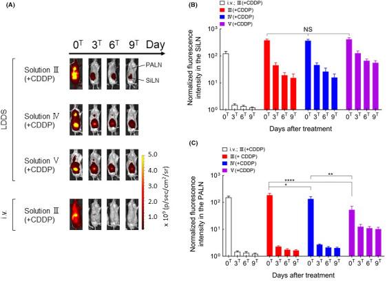 https://cdn.ncbi.nlm.nih.gov/pmc/blobs/0f76/8088917/68b482a7fbe4/CAS-112-1735-g001.jpg