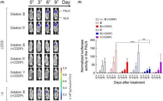 https://cdn.ncbi.nlm.nih.gov/pmc/blobs/0f76/8088917/931eb35ef94b/CAS-112-1735-g003.jpg