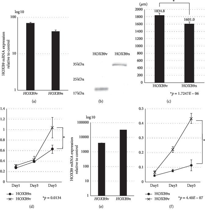 https://cdn.ncbi.nlm.nih.gov/pmc/blobs/0f78/7040399/2cb91679437e/JO2020-6065736.005.jpg
