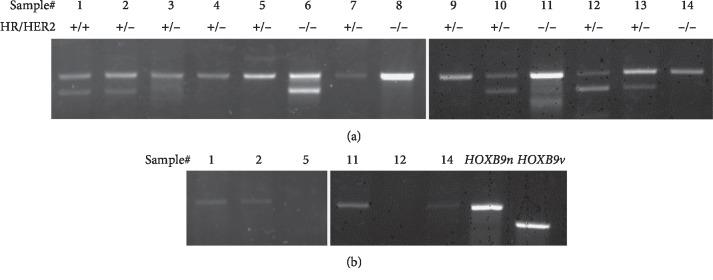 https://cdn.ncbi.nlm.nih.gov/pmc/blobs/0f78/7040399/c33e9b786263/JO2020-6065736.003.jpg