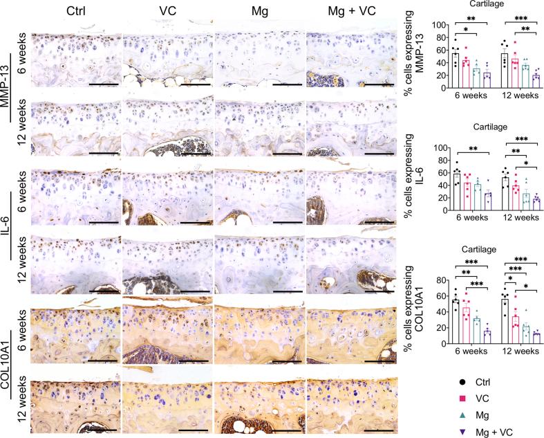 https://cdn.ncbi.nlm.nih.gov/pmc/blobs/0f78/7658330/24d0eb2b4735/mmcfigs4.jpg