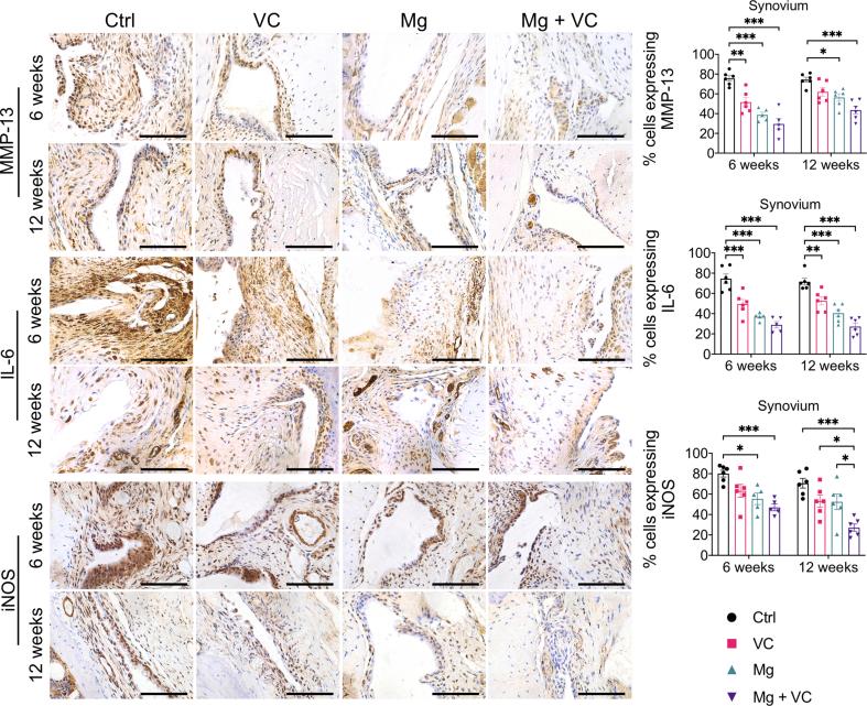 https://cdn.ncbi.nlm.nih.gov/pmc/blobs/0f78/7658330/72b352bf3cc4/mmcfigs3.jpg