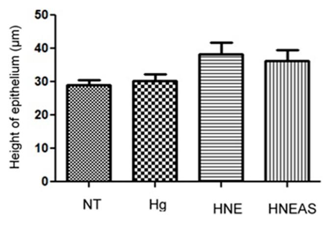 https://cdn.ncbi.nlm.nih.gov/pmc/blobs/0f78/9788587/5e2a6599a17b/pharmaceutics-14-02726-g006.jpg