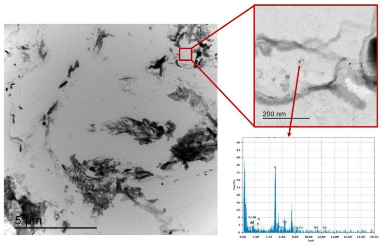 https://cdn.ncbi.nlm.nih.gov/pmc/blobs/0f7a/10096130/924e11bcabd8/materials-16-02897-g023.jpg