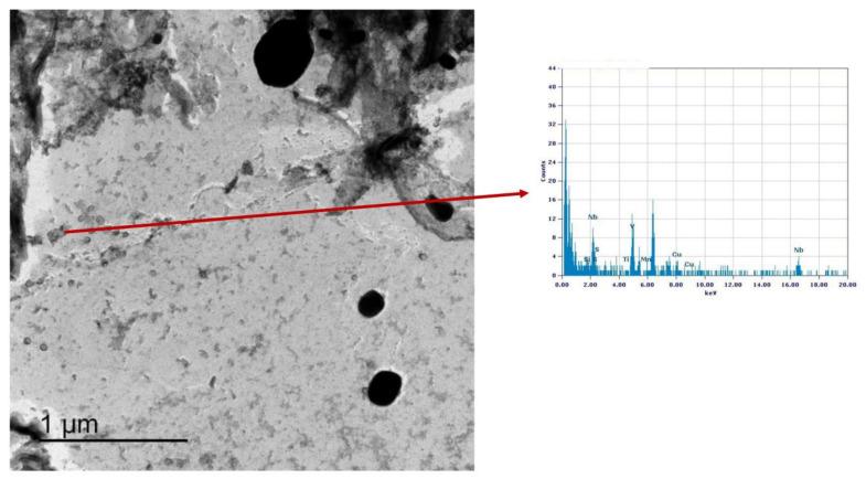 https://cdn.ncbi.nlm.nih.gov/pmc/blobs/0f7a/10096130/c5d40824cdf9/materials-16-02897-g026.jpg