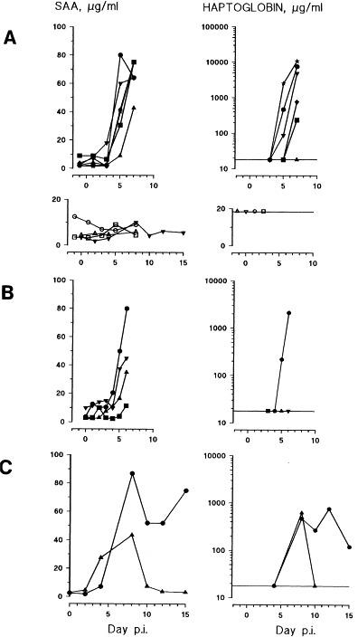 https://cdn.ncbi.nlm.nih.gov/pmc/blobs/0f7a/7119828/a36c4e518506/gr1.jpg
