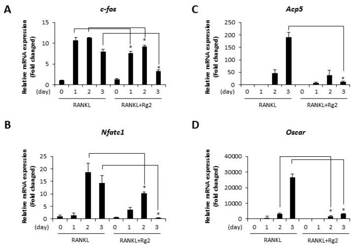 https://cdn.ncbi.nlm.nih.gov/pmc/blobs/0f7b/10618073/c8923ad87c6c/bmb-56-10-551-f2.jpg