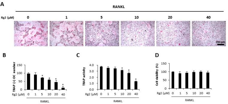 https://cdn.ncbi.nlm.nih.gov/pmc/blobs/0f7b/10618073/f8caf91355a5/bmb-56-10-551-f1.jpg