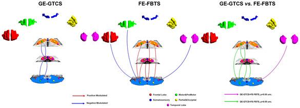 https://cdn.ncbi.nlm.nih.gov/pmc/blobs/0f7b/7856655/1769da3d913d/HBM-42-1102-g005.jpg