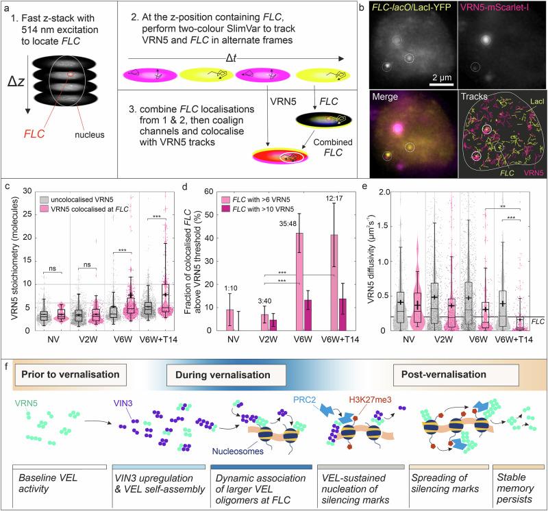 https://cdn.ncbi.nlm.nih.gov/pmc/blobs/0f7c/12402101/580babaded18/41467_2025_63108_Fig7_HTML.jpg