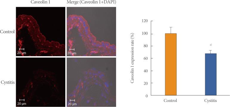 https://cdn.ncbi.nlm.nih.gov/pmc/blobs/0f7c/3547177/dffa8ddaef1c/inj-16-169-g002.jpg