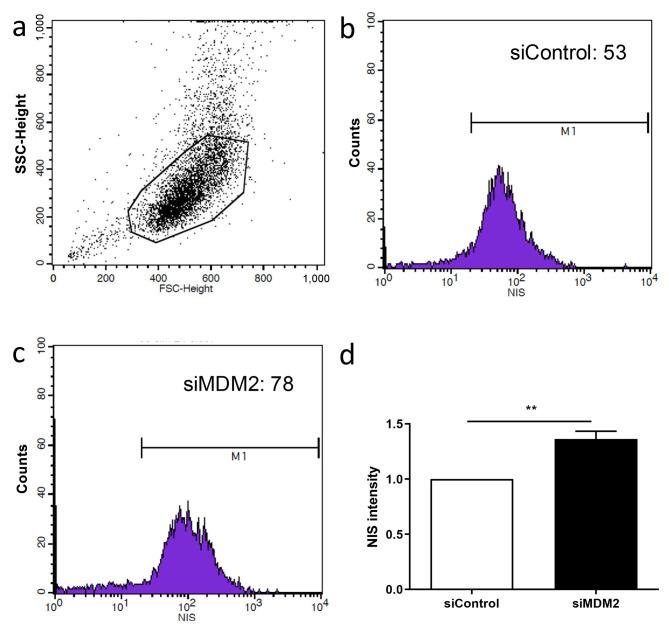 https://cdn.ncbi.nlm.nih.gov/pmc/blobs/0f7d/12041878/8a5ee55514cf/cgp-22-455-g0001.jpg