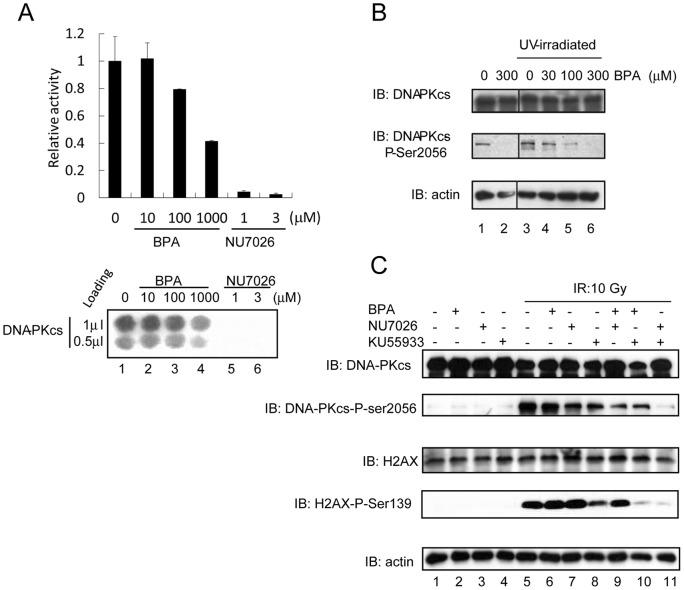https://cdn.ncbi.nlm.nih.gov/pmc/blobs/0f7d/3515620/ea4a2eff5e6b/pone.0050481.g003.jpg