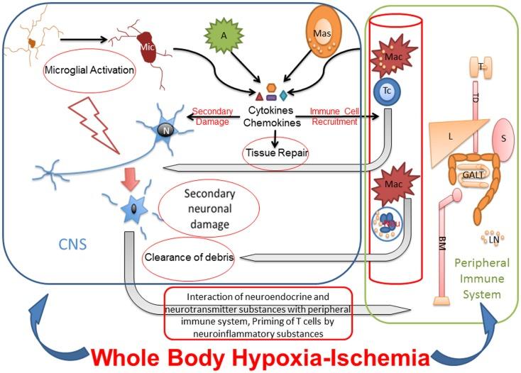 https://cdn.ncbi.nlm.nih.gov/pmc/blobs/0f80/4294124/908dce60cbd0/fped-02-00144-g002.jpg