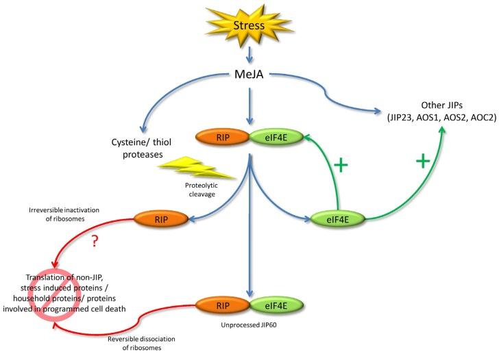 https://cdn.ncbi.nlm.nih.gov/pmc/blobs/0f80/5408197/0d0108d586c9/toxins-09-00123-g003.jpg