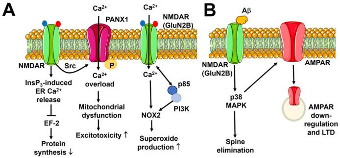 https://cdn.ncbi.nlm.nih.gov/pmc/blobs/0f81/11048239/4830a2f64b17/biomedicines-12-00880-g005.jpg