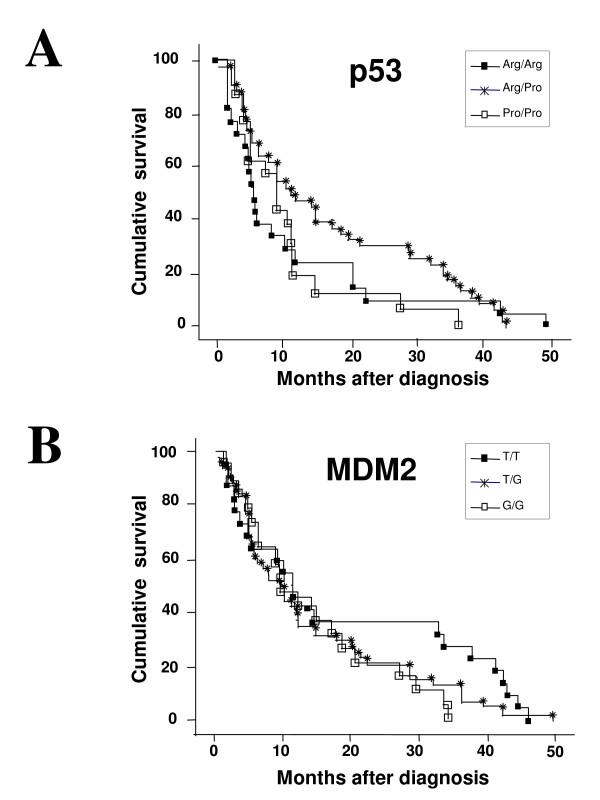 https://cdn.ncbi.nlm.nih.gov/pmc/blobs/0f81/2842241/91604442336f/1471-2407-10-88-2.jpg