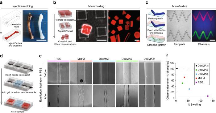 https://cdn.ncbi.nlm.nih.gov/pmc/blobs/0f81/5575316/62c8d2c71575/41467_2017_418_Fig2_HTML.jpg