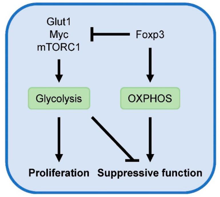 https://cdn.ncbi.nlm.nih.gov/pmc/blobs/0f83/7408402/f007c0d7a2c5/metabolites-10-00279-g002.jpg