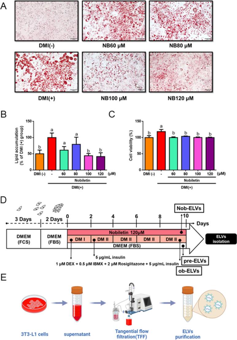 https://cdn.ncbi.nlm.nih.gov/pmc/blobs/0f84/12412145/2c752b4c7e13/jf5c06392_0001.jpg
