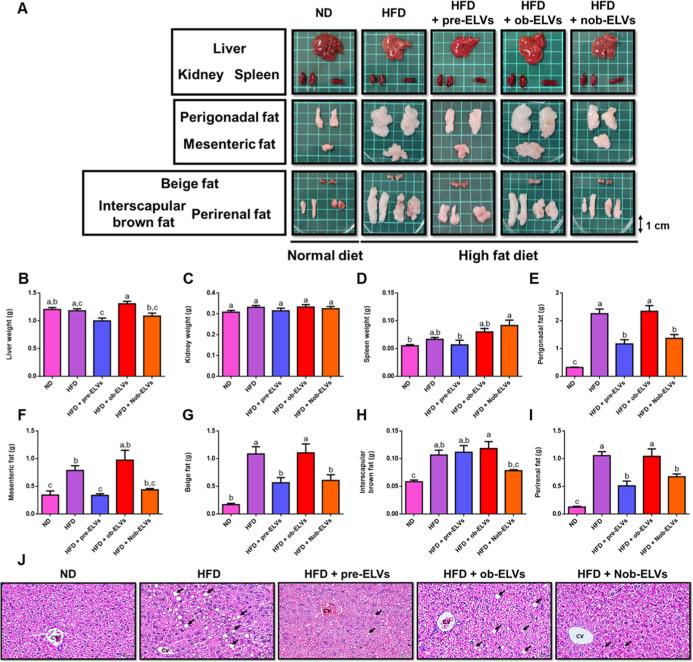 https://cdn.ncbi.nlm.nih.gov/pmc/blobs/0f84/12412145/4a9e287f68bc/jf5c06392_0006.jpg