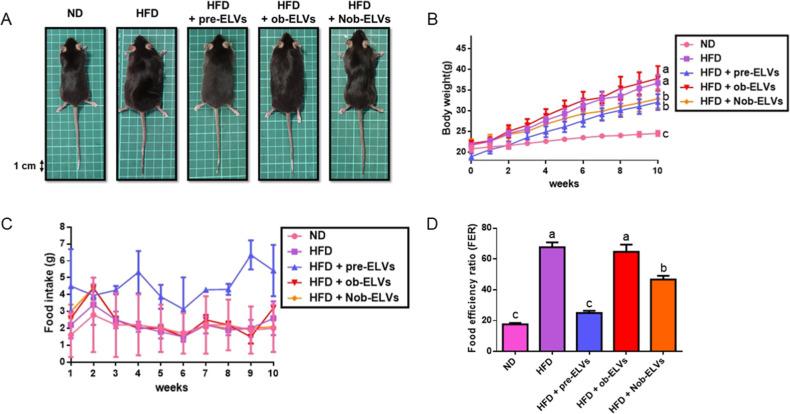 https://cdn.ncbi.nlm.nih.gov/pmc/blobs/0f84/12412145/df695b59f08d/jf5c06392_0005.jpg