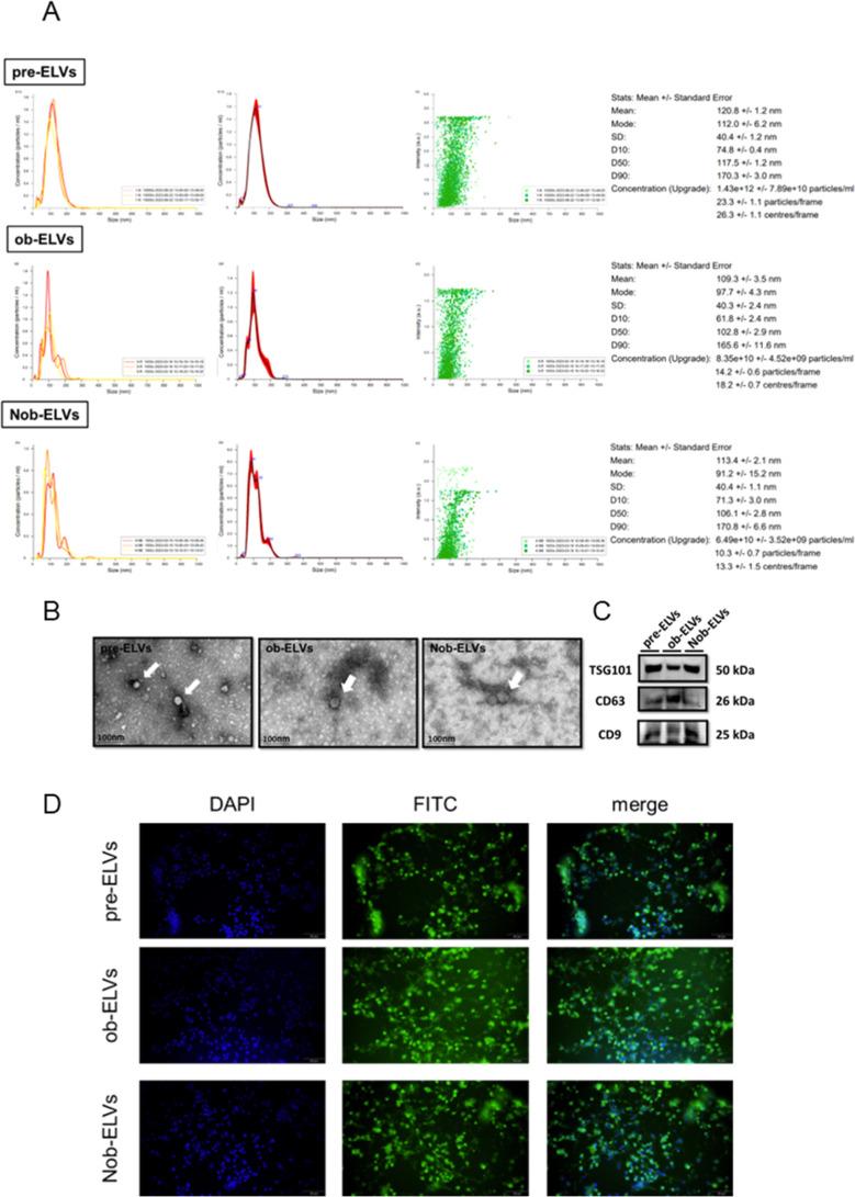 https://cdn.ncbi.nlm.nih.gov/pmc/blobs/0f84/12412145/f2d0a32d5037/jf5c06392_0002.jpg