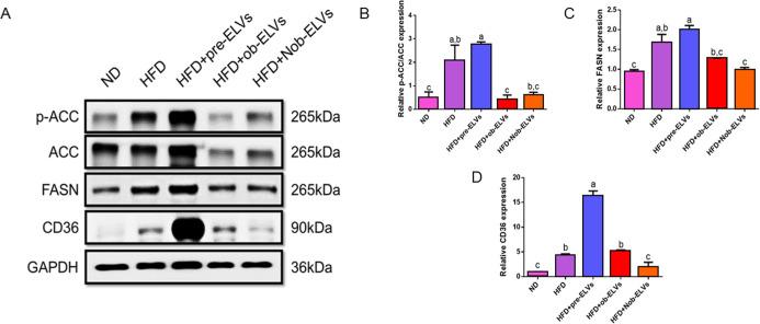 https://cdn.ncbi.nlm.nih.gov/pmc/blobs/0f84/12412145/f604643a5114/jf5c06392_0008.jpg