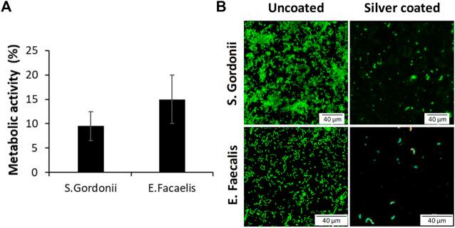 https://cdn.ncbi.nlm.nih.gov/pmc/blobs/0f86/10803504/ea5c1e98df1b/fbioe-11-1293582-g007.jpg