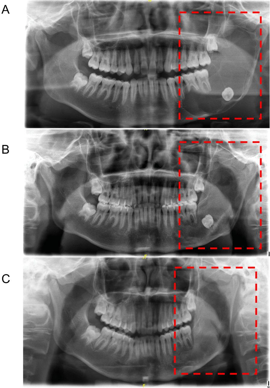 https://cdn.ncbi.nlm.nih.gov/pmc/blobs/0f86/9563122/19a098f179f1/12903_2022_2474_Fig2_HTML.jpg