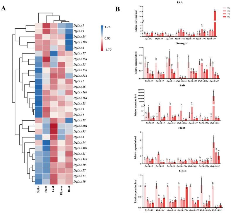 https://cdn.ncbi.nlm.nih.gov/pmc/blobs/0f89/10671735/ed8d4427903f/ijms-24-16184-g004.jpg