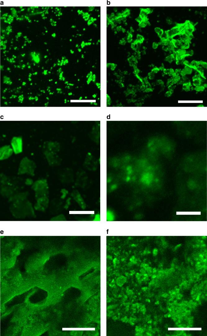 https://cdn.ncbi.nlm.nih.gov/pmc/blobs/0f8b/7118121/06a30dbd111a/41467_2020_15312_Fig4_HTML.jpg