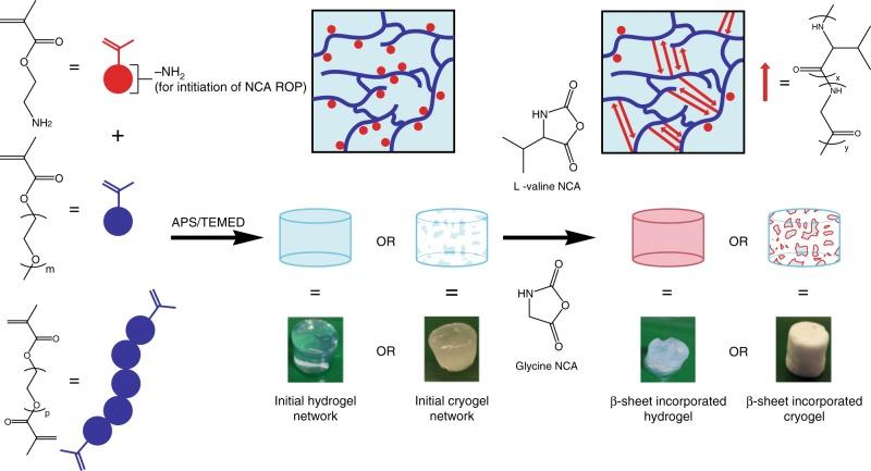 https://cdn.ncbi.nlm.nih.gov/pmc/blobs/0f8b/7118121/75da238b48f7/41467_2020_15312_Fig1_HTML.jpg