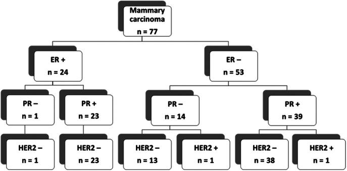 https://cdn.ncbi.nlm.nih.gov/pmc/blobs/0f8b/7754150/c4164ff9dfc2/VCO-18-753-g001.jpg