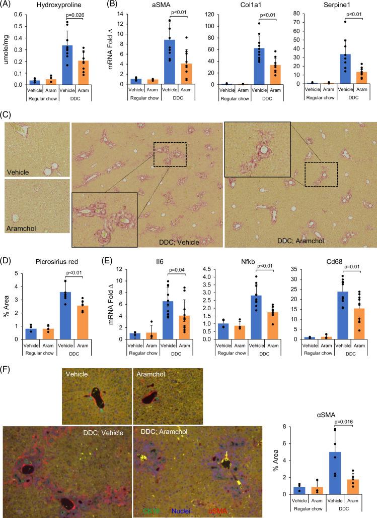 https://cdn.ncbi.nlm.nih.gov/pmc/blobs/0f8e/12306705/1c05d3377647/hc9-9-e0748-g001.jpg